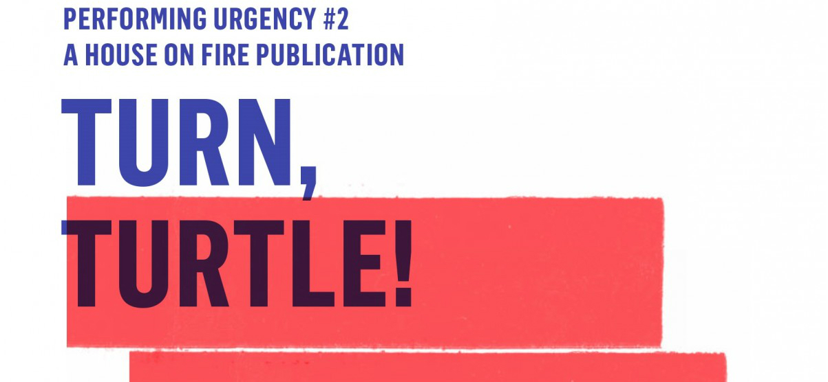 Turn, Turtle! Reenacting the Institute